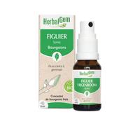 Herbalgem Fico Bio 15ml - Gemmoderivato
