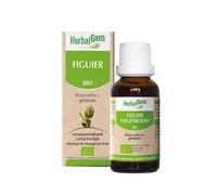 Herbalgem Fico Bio 30ml - Gemmoderivato