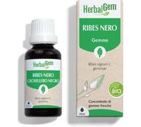 Herbalgem HERBALGEM RIBES NERO GEMMODERIVATO CONCENTRATO BIO 30 ML