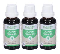 Herbalgem Lampone Giovani Getti Concentrato di Gemme Fresche Gocce 3x3