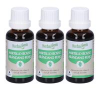 Herbalgem Mirtillo Rosso Giovani Getti Concentrato di Gemme Fresche Go
