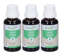 Herbalgem Noce Gemme Concentrato di Gemme Fresche Gocce 3x30 ml Soluzi