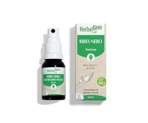 HerbalGem - Ribes Nero Bio - Macerato Madre Gemmoterapia - Supporto per Articolazioni e Muscoli - Estratto di Gemme Fresche Concentrato - Vegano - Spray 15 ml