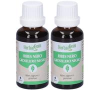 Herbalgem Ribes Nero Gemme Bio Gocce 2x30 ml Soluzione orale