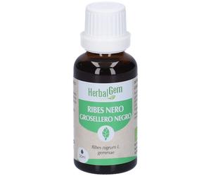 Herbalgem Ribes Nero Gemme Bio Gocce 30 ml Soluzione orale