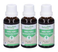 Herbalgem Ribes Nero Gemme Bio Gocce 3x30 ml Soluzione orale