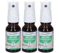 Herbalgem Ribes Nero Gemme Concentrato di Gemme Fresche Gocce 3x15 ml
