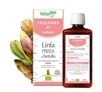 HerbalGem Venalinfa Bio Snellente Linfa Fresca di Betulla 250ml