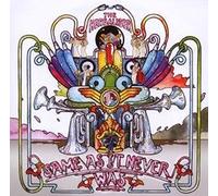 Herbaliser The - Same As It Never Was