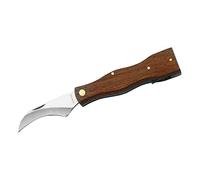 Herbertz Coltello per funghi, in acciaio inossidabile, manico in legno, con spazzola