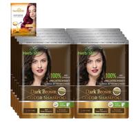 Herbishh Shampoo naturale per capelli grigi, maschera per capelli all'argan, formato da viaggio, colore a lunga durata, senza ammoniaca, confezione da 10 + 1 confezione (marrone scuro)