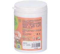 Herboplanet Gutsol Polvere 100 g Polvere per soluzione orale