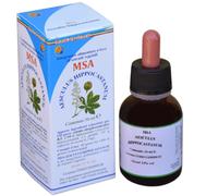 Herboplanet MSA AESCULUS HIPPOCA 50 ML