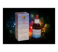 Herboplanet MSA BETULA PUBESCENS 50 ML