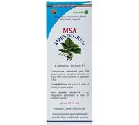 herboplanet Msa ribes nigrum 100 ml