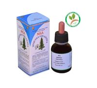 Herboplanet MSA Sequoia Gigantea Soluzione Idro-Glicero-Alcolica, 50ml