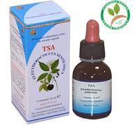Herboplanet TSA ELEUTEROCOCCUS SENTICOSUS