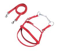 HERCHR Rinno di Cavallo, Briglia a Cavallo, browband Imbottito in Nylon browband Bridle bransa equestre rein con Fibbia in Acciaio Inossidabile per Cavalcata (Rosso S)