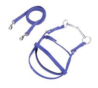 HERCHR Rinno di Cavallo, Briglia a Cavallo, browband Imbottito in Nylon browband Bridle bransa equestre rein con Fibbia in Acciaio Inossidabile per Cavalcata (Blu S)