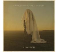 Hercules and Love Affair In Amber (CD) Album