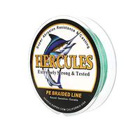 Hercules Super Cast - Lenza da pesca intrecciata, 300 m, 300 m, test 13,6 kg per acqua salata e acqua dolce, in PE, treccia, 8 fili, verde, 13,6 kg (13,6 kg), 0,28 mm