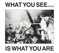 Here and Now & Alternative TV What You See Is What You Are (CD) Album
