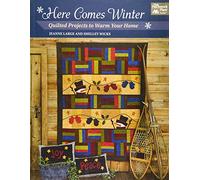 Here Comes Winter: Quilted Projects to Warm Your Home