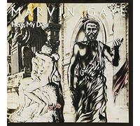 Here, My Dear by Marvin Gaye (1994-04-05)