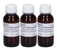 HERING Fagus Sylvatica Gemmeme Macerato Glicerico 3x60 ml