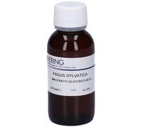 HERING Fagus Sylvatica Gemmeme Macerato Glicerico 4x60 ml