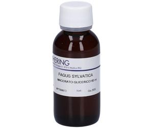 HERING Fagus Sylvatica Gemmeme Macerato Glicerico 60 ml Gocce orali