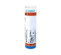 Hering HERING BELLADONNA*80 granuli 9 CH contenitore multidose