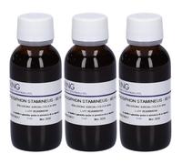 HERING Orthosiphon Tintura Madre 3x60 ml