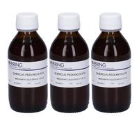 HERING Quercus Ped Macerato Glicerico Gemme 3x125 ml
