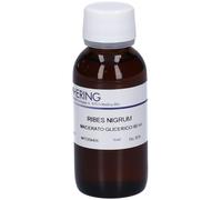 HERING Ribes Nigrum Macerato Glicerico 60 ml Gocce orali