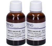 HERING Ribes Nigrum Tintura Madre 2x30 ml Gocce orali