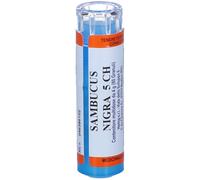 HERING Sambucus Nigra 80 Granuli 5 Ch Contenitore Multidose Granuli