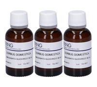 HERING Sorbus Domestica Gemmeme Macerato Glicerico 3x30 ml