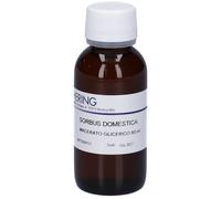 HERING Sorbus Domestica Macerato Glicerico 60 ml Gocce orali