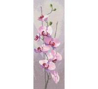 Heritage JCOR686-E - Set per punto croce, motivo: lavagna per orchidee (L), 11 x 31 cm