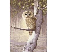 Heritage WHNW738-E - Set per punto croce, motivo: guardia notturna, 20 x 28 cm