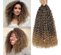 Herkeymidy Pre-Looped Kinky Curly Crochet Hair Extension per capelli da donna nera (T33/27, 10 pollici)