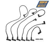 Herko Candela Spina Filo Set WFOR07 Per Ford Fortaleza F-150 Manuale Trans 2000
