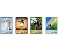 Herlitz Drawing Block DIN A3, 100 g/mq, 25 fogli di legno senza legno, testa incollata, la consegna è ordinata in - 1 pezzo (1 NEW