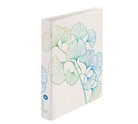 herlitz Max.File 50033423 - Raccoglitore ad anelli, formato A4, 2 anelli, colore: Verde