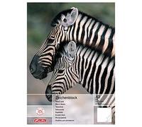 Herlitz Pivodex 494310 - Set di supporti da parete in plastica, colore: Nero