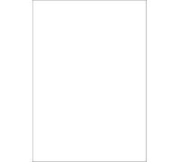 HERMA 10783 Weatherproof Film Labels DIN A4 Transparent (210 x 297 mm, 80 Sheets