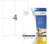 Herma 10909 Etichetta super resistente 105 x 148 mm Carta Bianco 100 pz. A ten