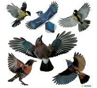 HERMA 15539 Warning Birds Bird Sticker Set for Window Panes, Large, 6 Pieces, 30