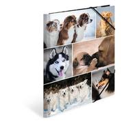 HERMA 19211 - Cartellina portadocumenti formato DIN A4, motivo: cani, in cartone stabile, con alette interne stampate a colori e elastico, per bambini, ragazzi e ragazze